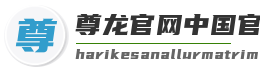 尊龙官网中国官网入口