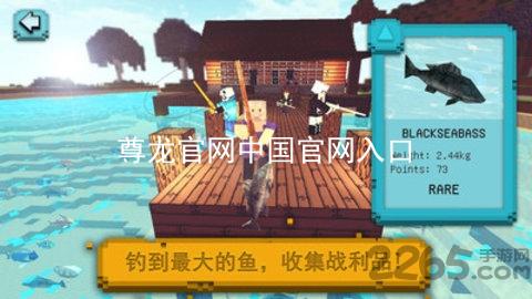 尊龙官网中国官网入口