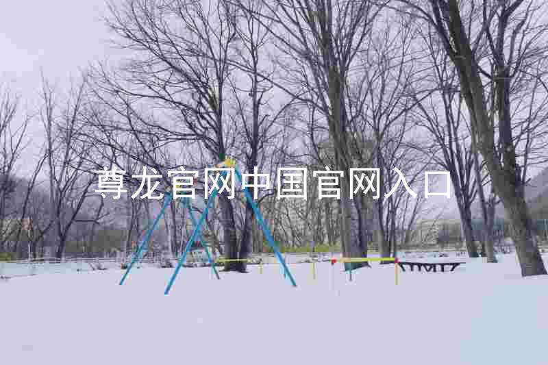 尊龙官网中国官网入口