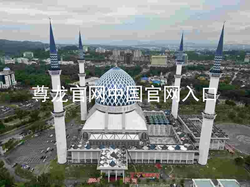 尊龙官网中国官网入口