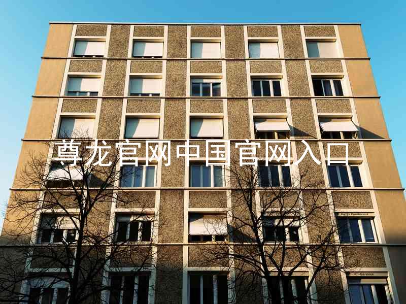 尊龙官网中国官网入口
