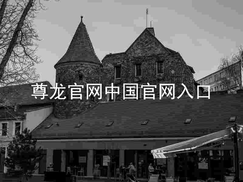尊龙官网中国官网入口