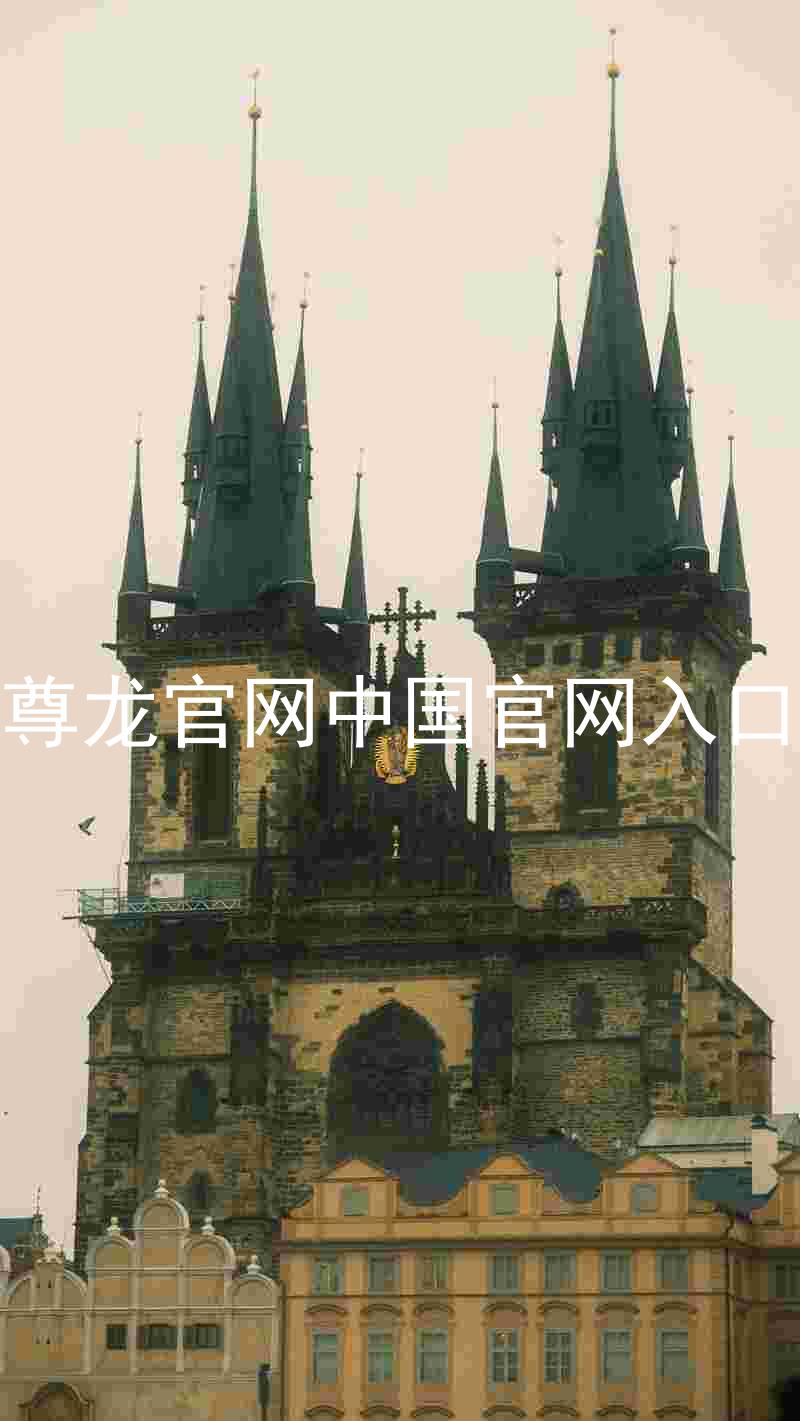 尊龙官网中国官网入口