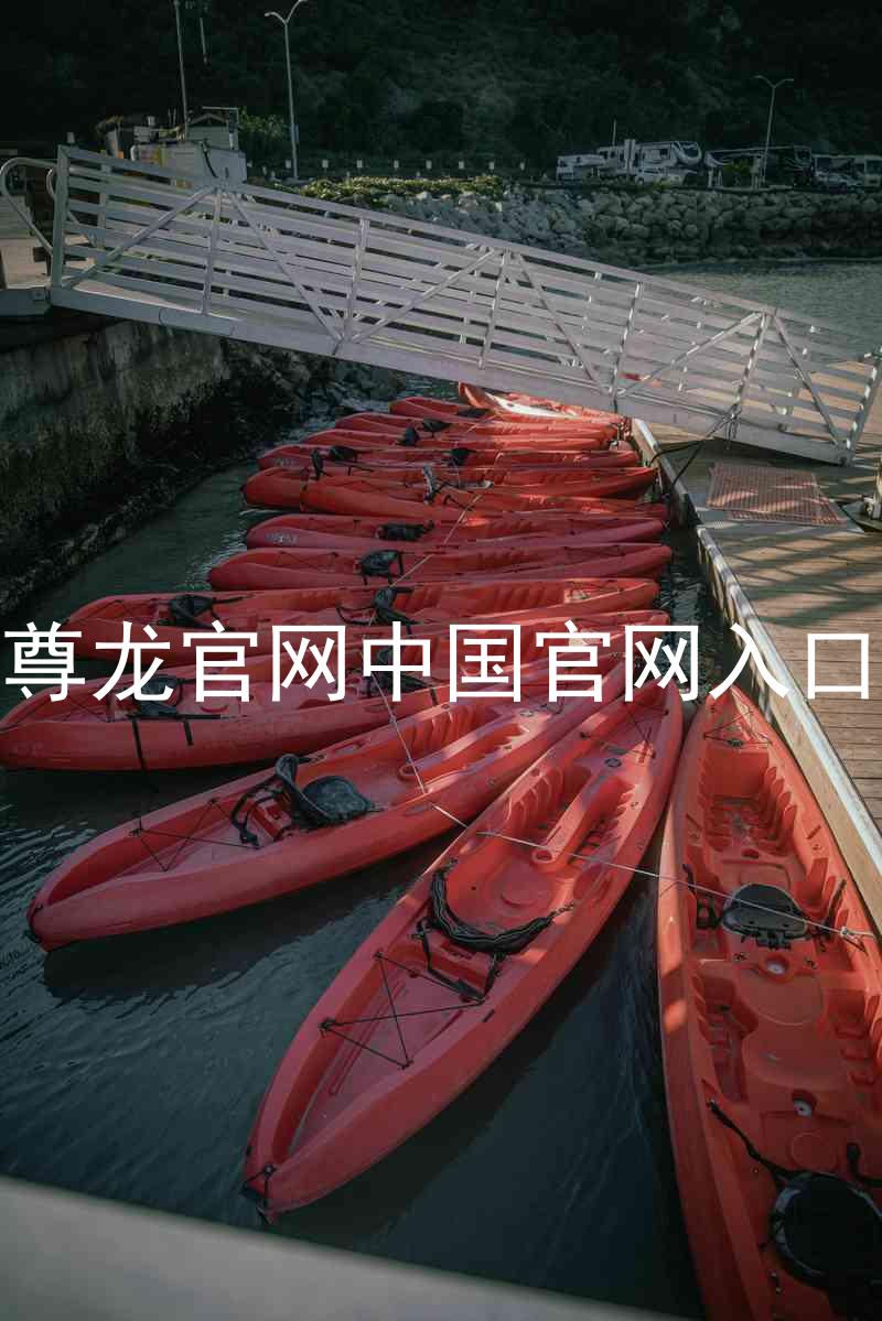 尊龙官网中国官网入口