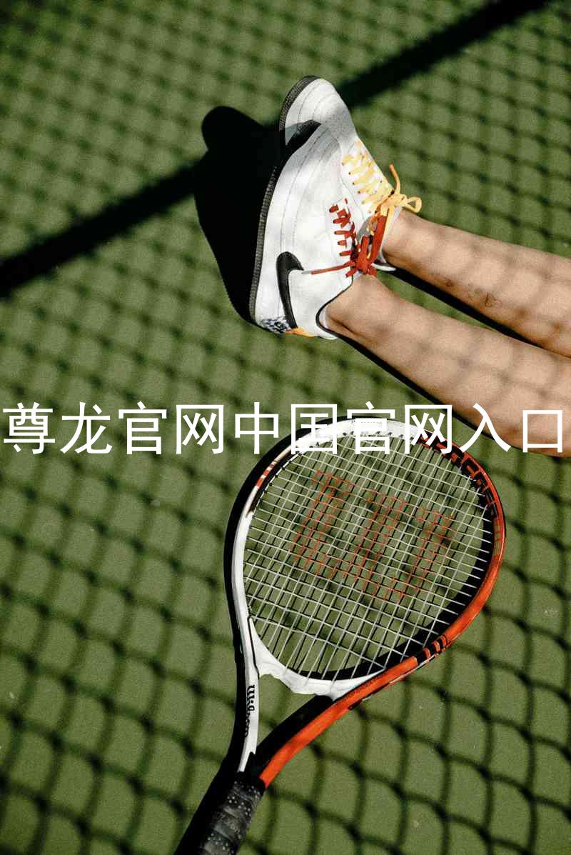 尊龙官网中国官网入口