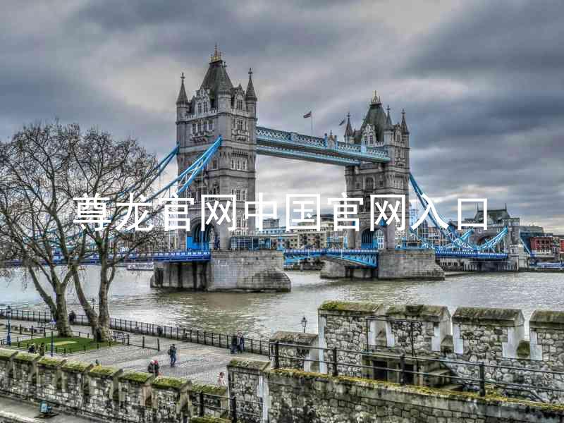 尊龙官网中国官网入口